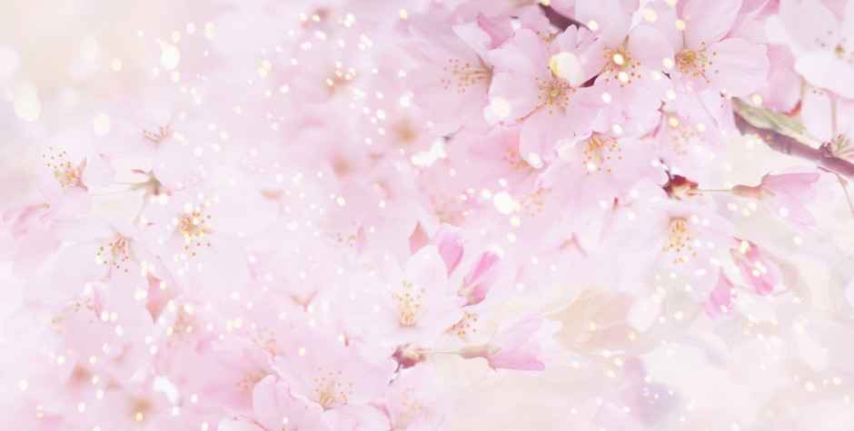 beautiful-background-flowers