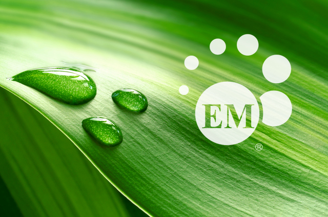 EM